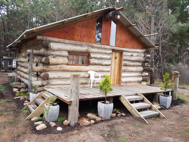 Student's log home